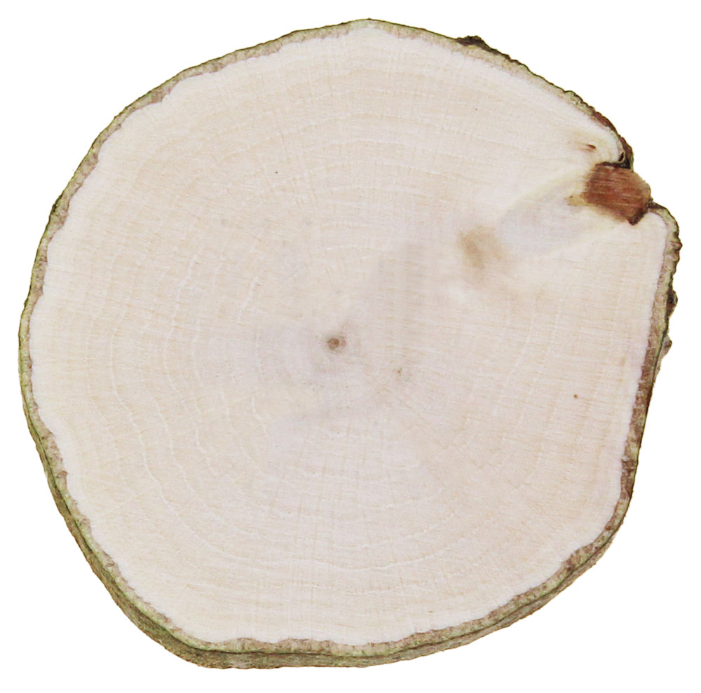 Holzscheibe – Gravurbereich Ø 55 mm